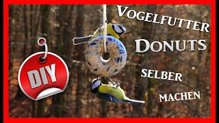 DIY Vogelfutter selber machen DONUTS [upl. by Starks]