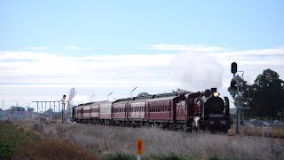 Steamrails Shepparton Steam Weekend Shuttles [upl. by Oilut]