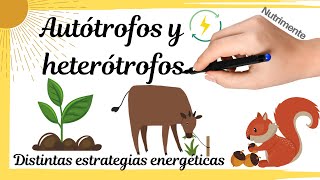 HETERÓTROFOS y AUTÓTROFOS Distintas estrategias energéticas [upl. by Korie565]