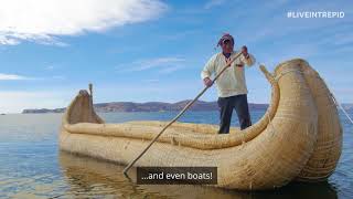 The Unique Floating Islands of Lake Titicaca [upl. by Landan65]