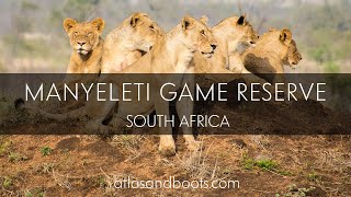 Manyeleti Game Reserve South Africa [upl. by Drarig]