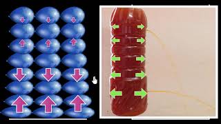 Pressure in liquids  Fluids  Physics  Khan Academy [upl. by Ahmar]