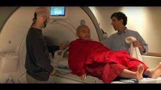 Meditations Impact on the Brain  Documentary Clip [upl. by Anaujik]