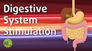 Digestive System Stimulation with Isochronic Tones Stimulate Digestion [upl. by Michi]