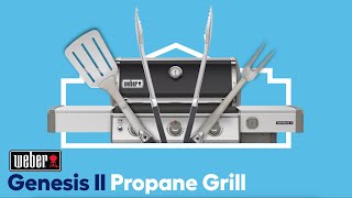 Weber Genesis II E315 Propane Grill [upl. by Htiaf]