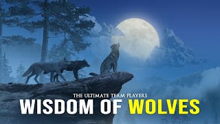 Wisdom Of The Wolves  Best Motivational Video [upl. by Chlores237]