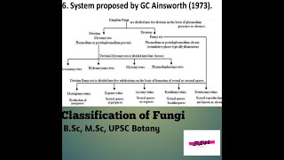 Classification of Fungi BSc MSc UPSC Botany [upl. by Prady672]