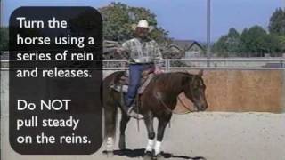 Reining Training Your Horse to Spin pt1 [upl. by Renaldo]