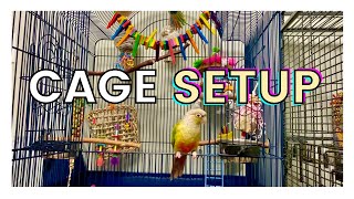 HOW TO SET UP YOUR PARROTS CAGE  Parrot Cage Setup [upl. by Threlkeld]