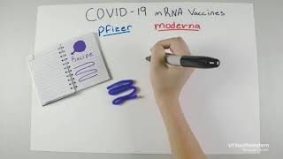 Discovery Doodle Explaining mRNA Vaccines [upl. by Spancake203]