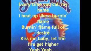 The Steve Miller Band  Abracadabra with lyrics [upl. by Yenittirb62]