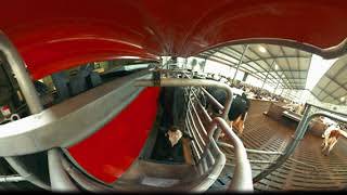 Lely Astronaut A5  The new milestone in milking VR  virtual reality experience [upl. by Hallock]