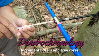 Dendrochronology How to use an increment borer [upl. by Anidnamra]