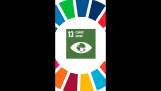 What are the UN Sustainable Development Goals [upl. by Dilaw]