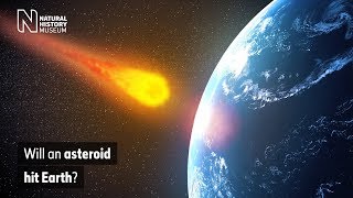 Will an asteroid hit Earth  Natural History Museum [upl. by Modestia413]