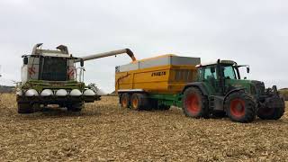 Récolte du maïs grain 2017 I Claas Lexion 540 [upl. by Yatzeck]