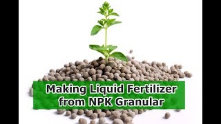 Making Liquid Fertilizer From NPK Granular [upl. by Annhej]