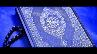 Al Quran full 30 juz 114 sura [upl. by Atnuhs]