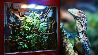 How I made a Huge Reptile Vivarium – Full Build [upl. by Damicke925]