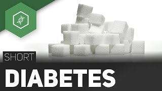 Diabetes mellitus – Die Zuckerkrankheit [upl. by Elana630]