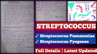 Streptococcus  streptococcus Pyogenes  streptococcus pneumoniae [upl. by Oicnaneb711]