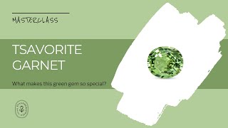 What Makes a Tsavorite Garnet Gemstone So Special [upl. by Gillan]