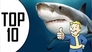 Top 10 des meilleurs films de requins [upl. by Dihahs]