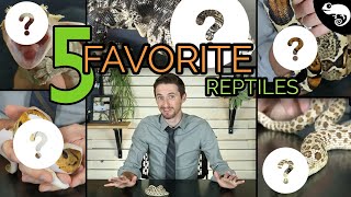 Top 5 Pet Reptiles  Clints Reptiles [upl. by Ordnasil]