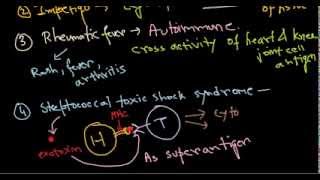 Streptococcus diseases [upl. by Andromada241]