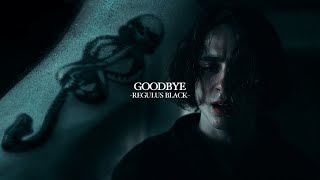 Regulus Black  Goodbye [upl. by Klos82]