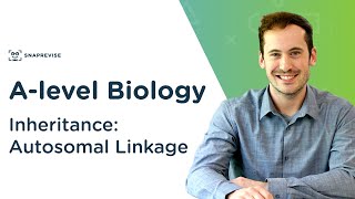 Inheritance Autosomal Linkage  Alevel Biology  OCR AQA Edexcel [upl. by Matthus]