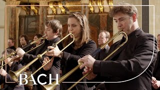 Bach  Sinfonia from Cantata BWV 29  Netherlands Bach Society [upl. by Yllrebmik]