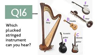 Instruments quiz [upl. by Nnaerb46]