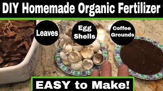 Easy DIY Homemade Organic Garden Fertilizer [upl. by Cioffred623]