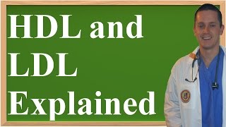 HDL and LDL Explained Made Easy to Understand Updated Version [upl. by Lednyk]