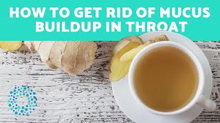 8 Best Ways to Clear the Throat of Mucus [upl. by Killian335]