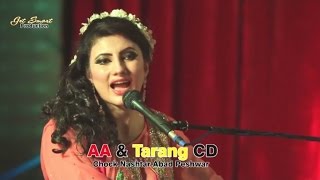 Der Zorawar Dey Janan  Nazia Iqbal Pashto Song  Pushto Hit Song [upl. by Hayarahs]