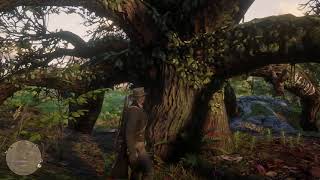 Killer Clue Locations Red Dead Redemption 2 [upl. by Ermina]