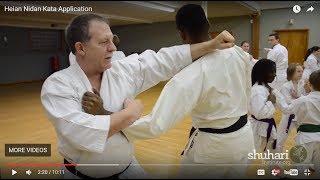 Heian Nidan Oyo  Bunkai Kata Application [upl. by Louanne]