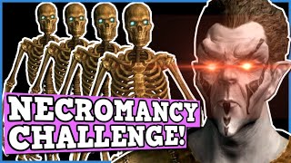 SKYRIM NECROMANCY ONLY CHALLENGE IS BROKEN  Skyrim is a Perfectly Balanced game with no exploits [upl. by Bouton]