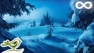 Calm Piano Music with Beautiful Winter Photos • Soothing Music for Studying Relaxation or Sleeping [upl. by Keli]