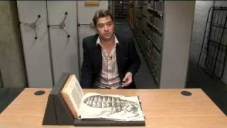 Treasures of the Bodleian Robert Hookes Micrographia [upl. by Haroved770]