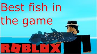 How to get the best fish in fishing simulator roblox bluefish [upl. by Switzer]