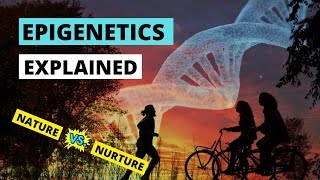 Introduction to epigenetics  LearnOmicsLogiccom [upl. by Story995]