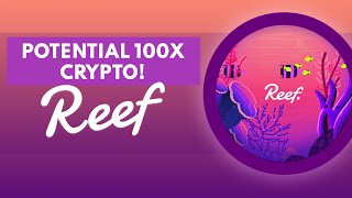 REEF Finance Review A HIDDEN 100x Crypto Investment [upl. by Alpert]