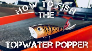 How to Fish a Topwater Popper  Bass Fishing [upl. by Setiram]