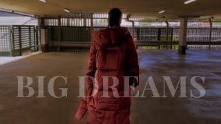 avneesha  Big Dreams Official Music Video [upl. by Inttirb]