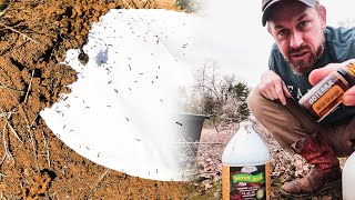 How to Kill Fire Ants IMMEDIATELY without chemicals or pesticides [upl. by Ettenwad635]