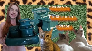 Miaustore Trinkbrunnen Update nach ein paar Monaten  Austausch der Pumpe [upl. by Jae]