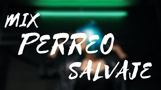 Mix Perreo Salvaje 🔥 OldSchoold  Reggeaton Antiguo Hist 🔥 Dj Anthony Alexander [upl. by Platto]